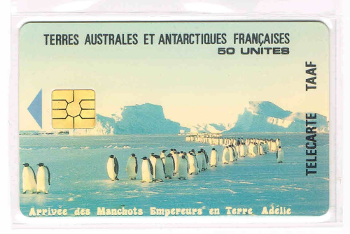 Terres Australes et Antarctiques Françaises (984)