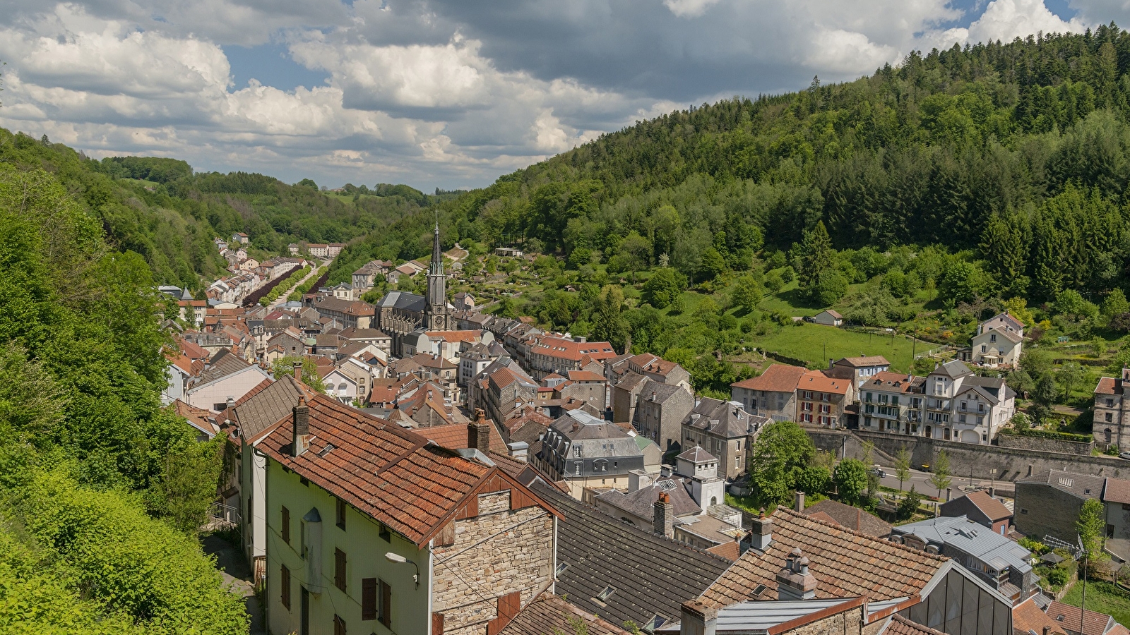 Vosges (88)